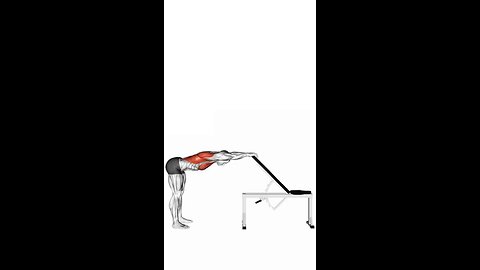 Back And Pec Stretch Exercise