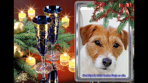 Våra älskade fåglar.