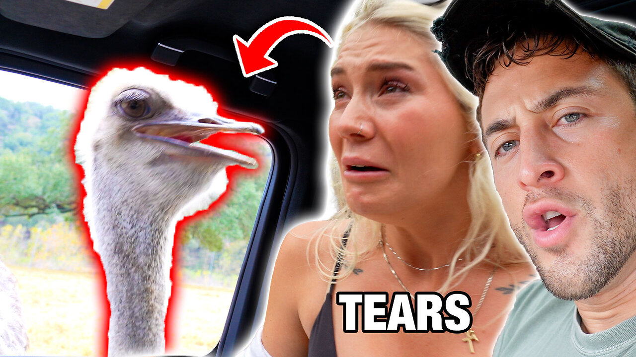 Ostrich Gets A Taste For Human Blood