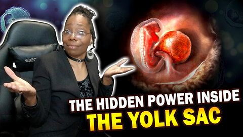 The Yolk Sac Causes the Mitochondrial Coma | Hidden Truth About Life’s Origin