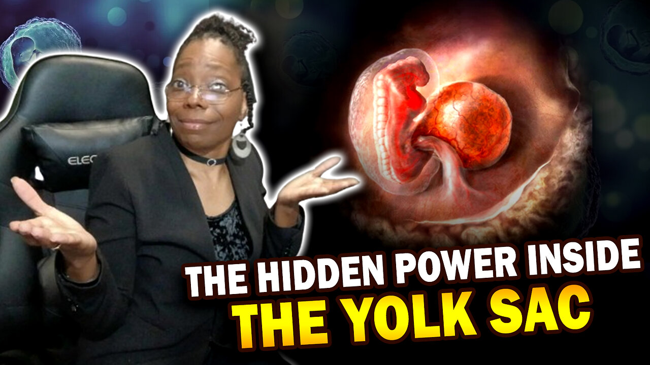 The Yolk Sac Causes the Mitochondrial Coma | Hidden Truth About Life’s Origin