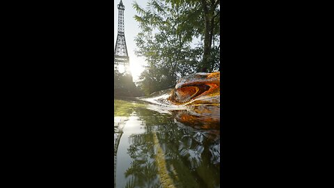 Puddles in Paris