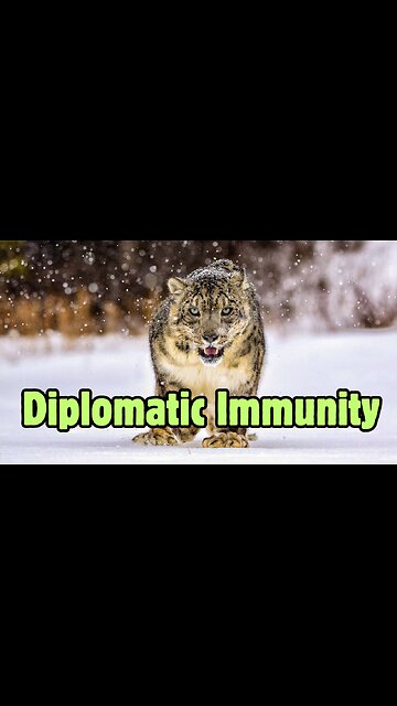 Snow Leopards are Diplomats?