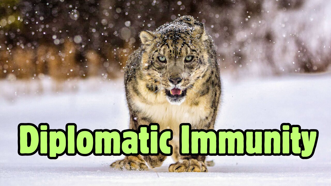 Snow Leopards are Diplomats?