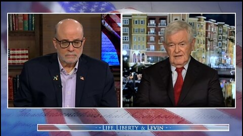 Newt Gingrich Breaks Down The Three Democratic Parties