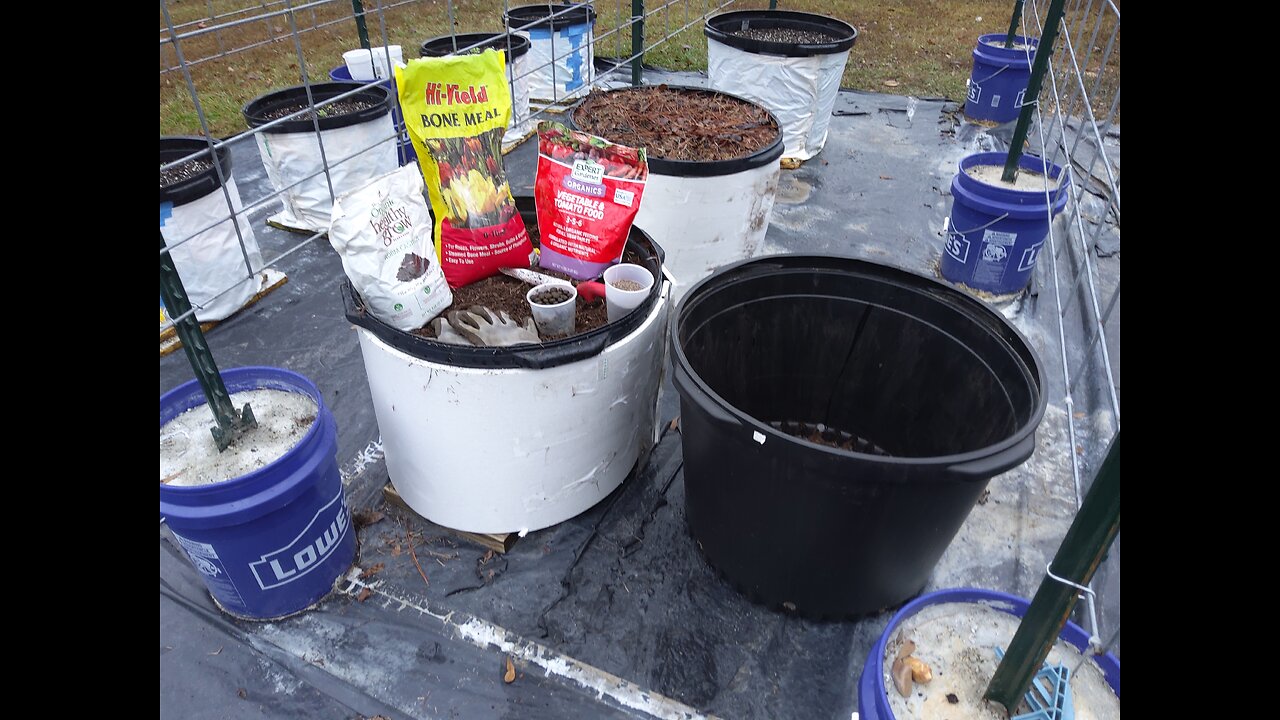 Fall Container Mix11/23/25