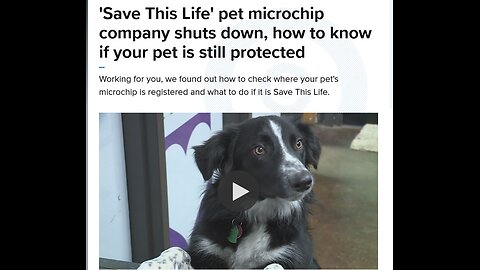 'Save This Life' pet microchip company shuts down