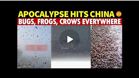 Apocalypse Hits China |Black Clouds of Bugs| Frogs and Crows Everywhere| and Flowers from the Abyss