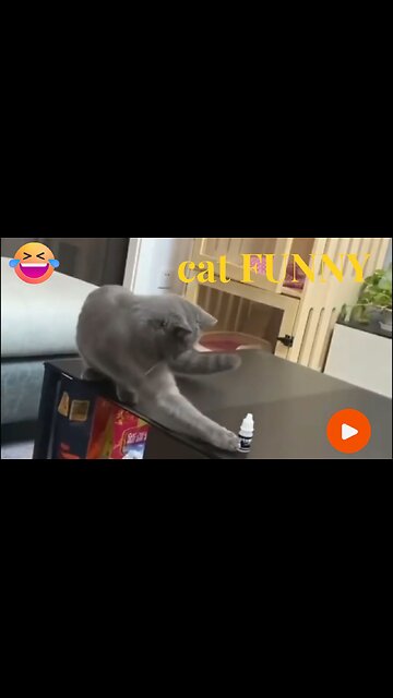 😲 After a Few Sips… The Fish Just Went MAD! 🐟💦