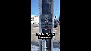 Maga Signs in L A