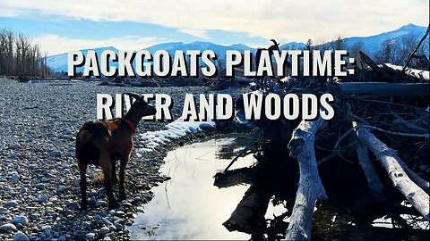 Packgoat Playtime: River and Woods Ep.1