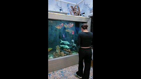 time to eat chicken... who win??????