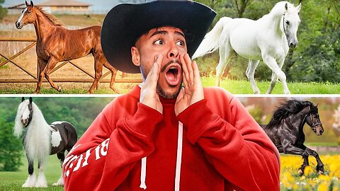 VOU COMPRAR UM NOVO CAVALO PARA MIM