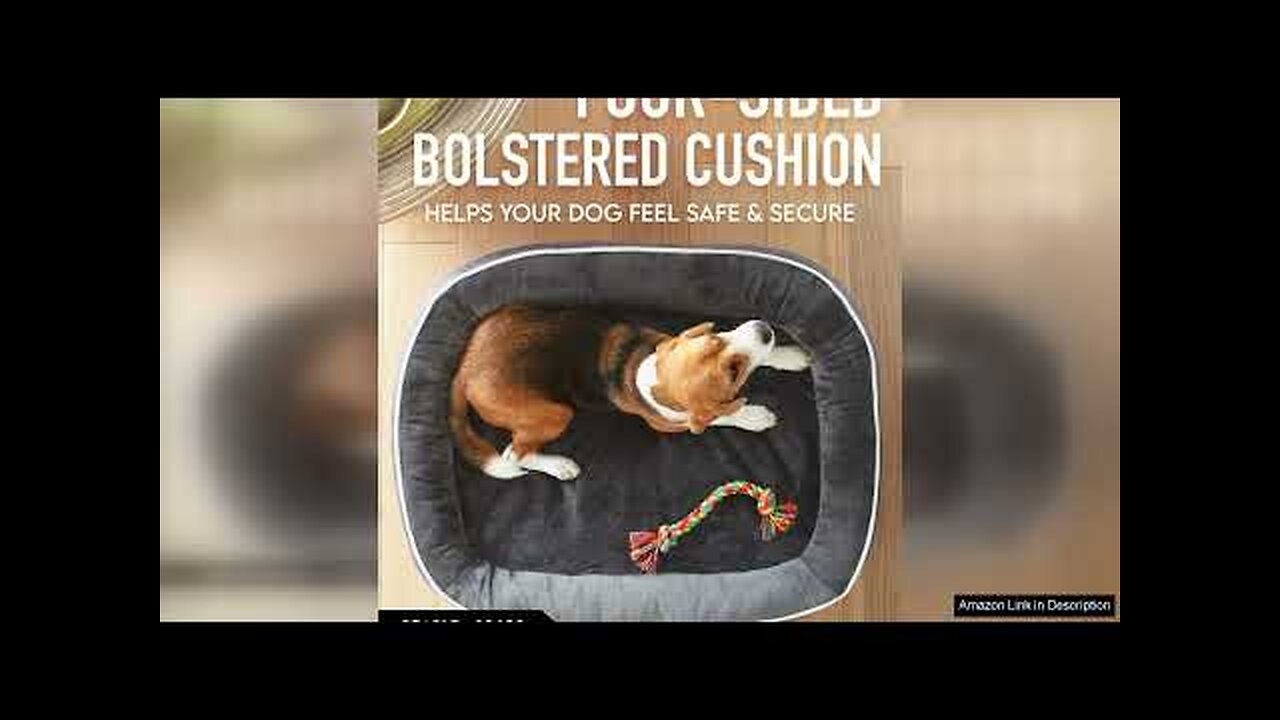 OhGeni Orthopedic Dog Bed for Large Dogs, Oversized Couch Design with Egg Review