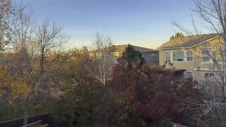 Getting some fresh air outside