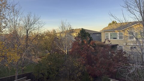 Getting some fresh air outside