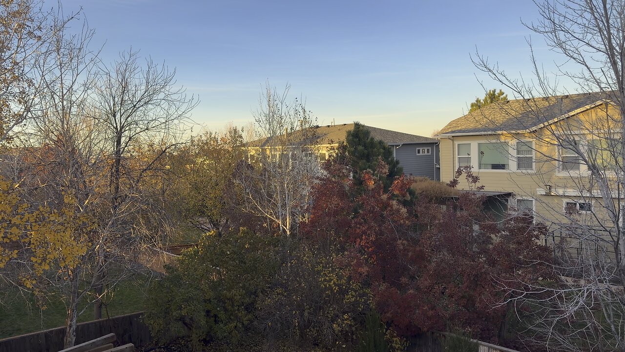 Getting some fresh air outside