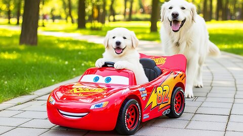 Mama Dog Works Hard to Buy a Hamburger for Her Sick Puppy 🍔🐶❤️ A Special Gift When He Recovers