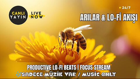 BEE RHYTHM