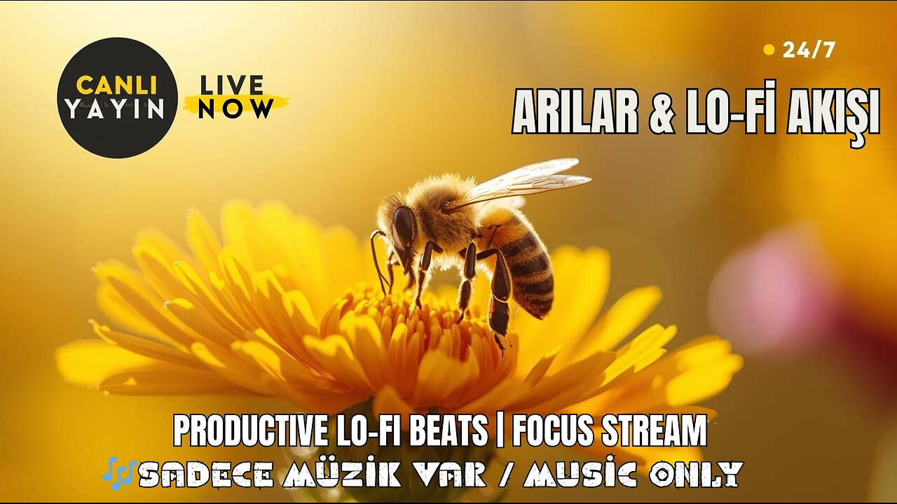 BEE RHYTHM