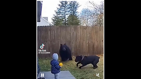 Bad parenting ‼️📖🤯…..