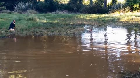 Opening day duck shooting, river and jump shooting