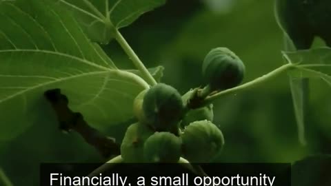 Daily Horoscope | Taurus 🌟