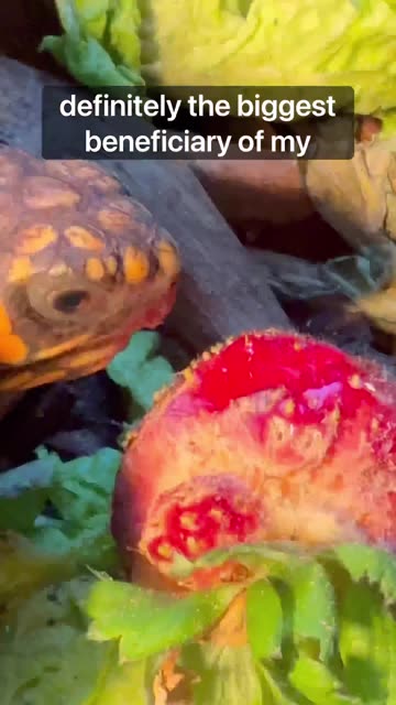 500 Day Indoor Ecosystem!