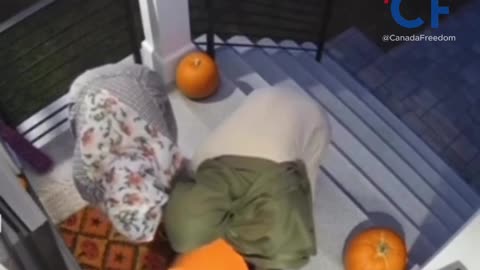 The Reason we Can't Have Nice Things