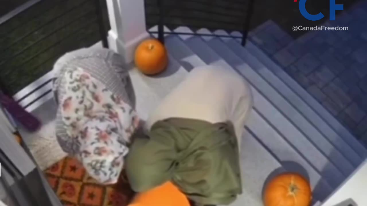 The Reason we Can't Have Nice Things