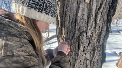 Tapping that SAP