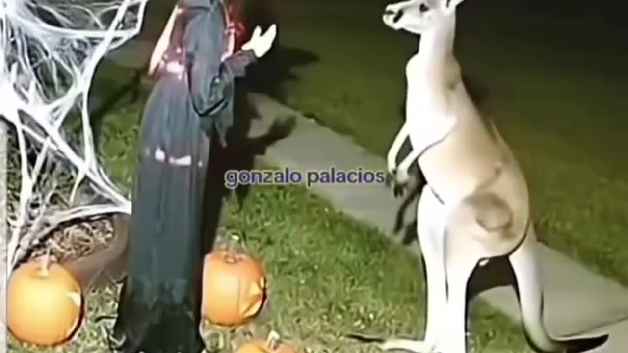 Halloween in Australia
