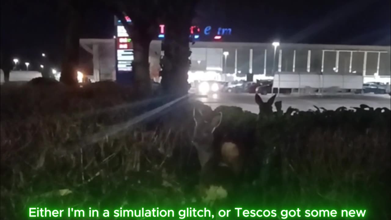 This Should NOT Be in the City at Night… But I Caught It on Camera!