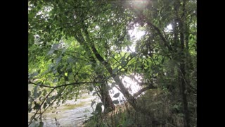 Summer River Gratitude Buckthorn July 2024