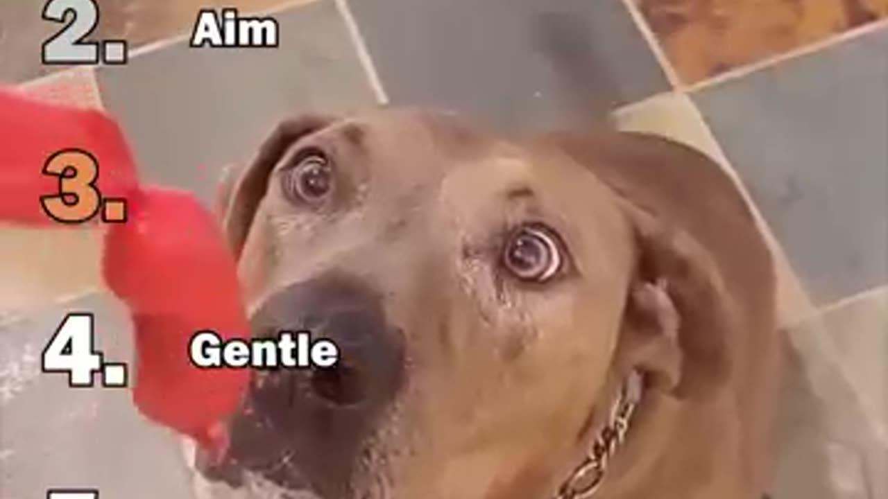 SMALL BITE REACTIONS