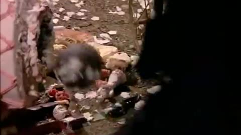 La tía de Frankenstein - 1x07 La boda