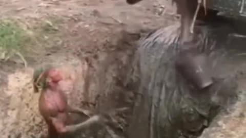 Top 🔝 Funny Video 📸