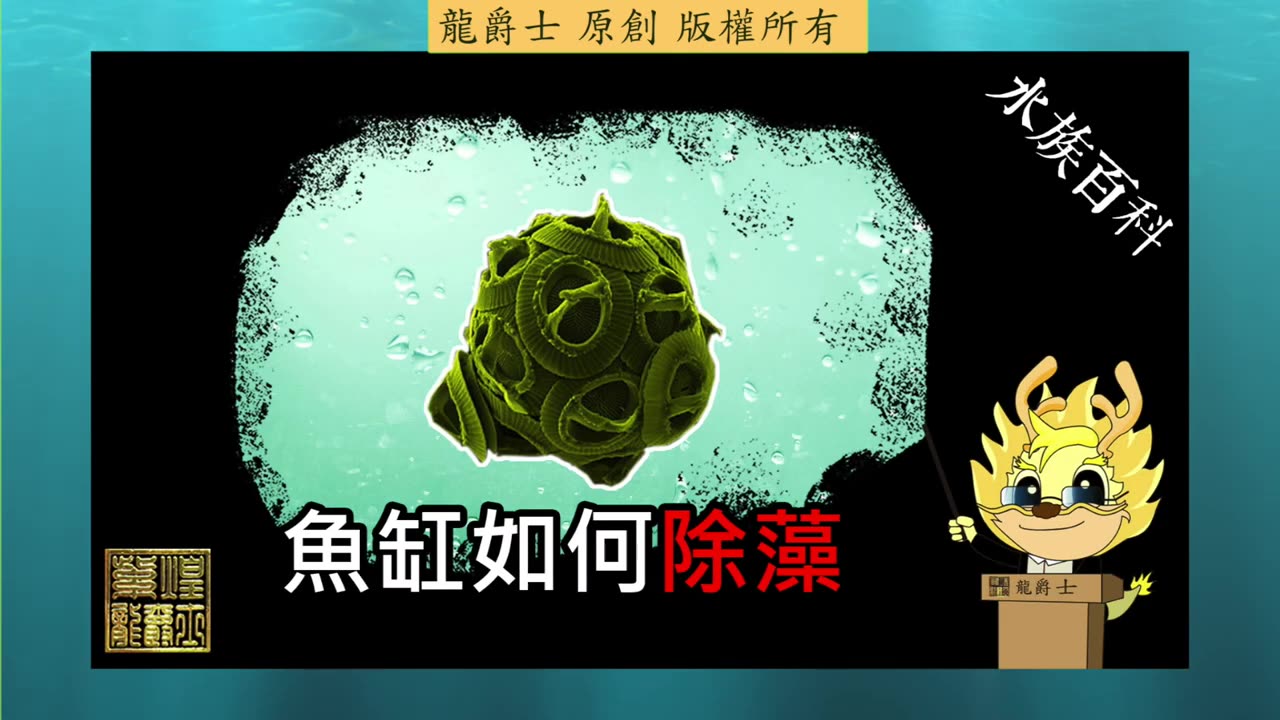 【龍爵士】千問千答 Q204 綠水怎麼辦