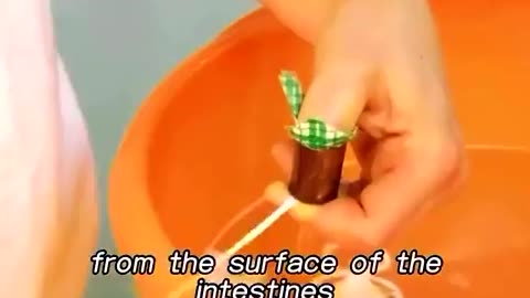 How Violin Strings Are Made