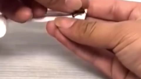 Cockroach Builds Its Own Car!