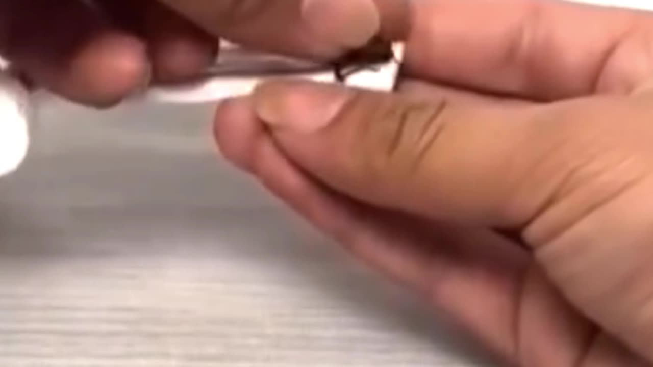 Cockroach Builds Its Own Car!