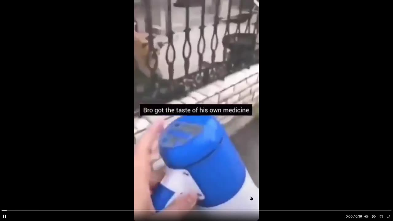 Dog barking... well how's this for an idea....record him and play it back