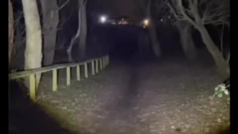 😨👻 Skinwalker Caught on Camera! | TheHauntingHour