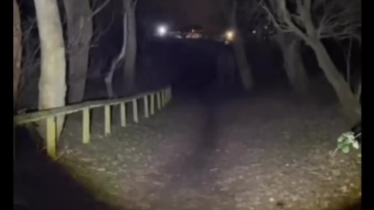 😨👻 Skinwalker Caught on Camera! | TheHauntingHour