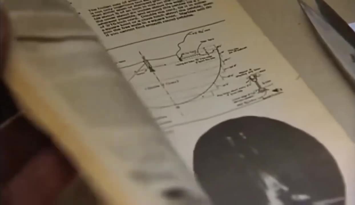 The Net - the Unabomber, LSD and the internet