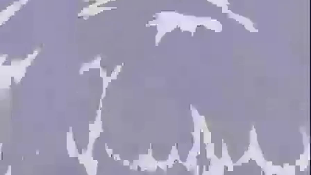 Japicide