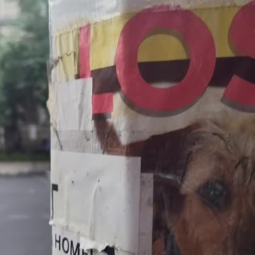 "WE KILL KIDS IN GAZA"