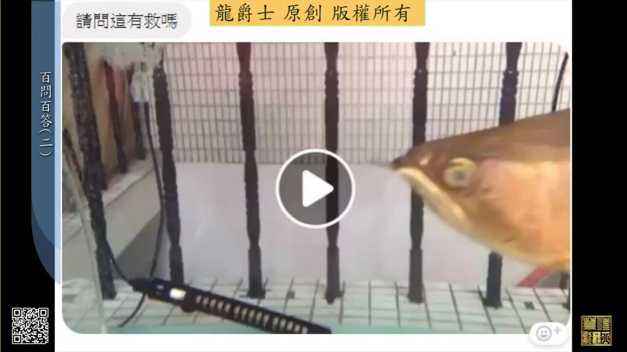 【龍爵士】千問千答 Q12 眼睛白矇有救嗎