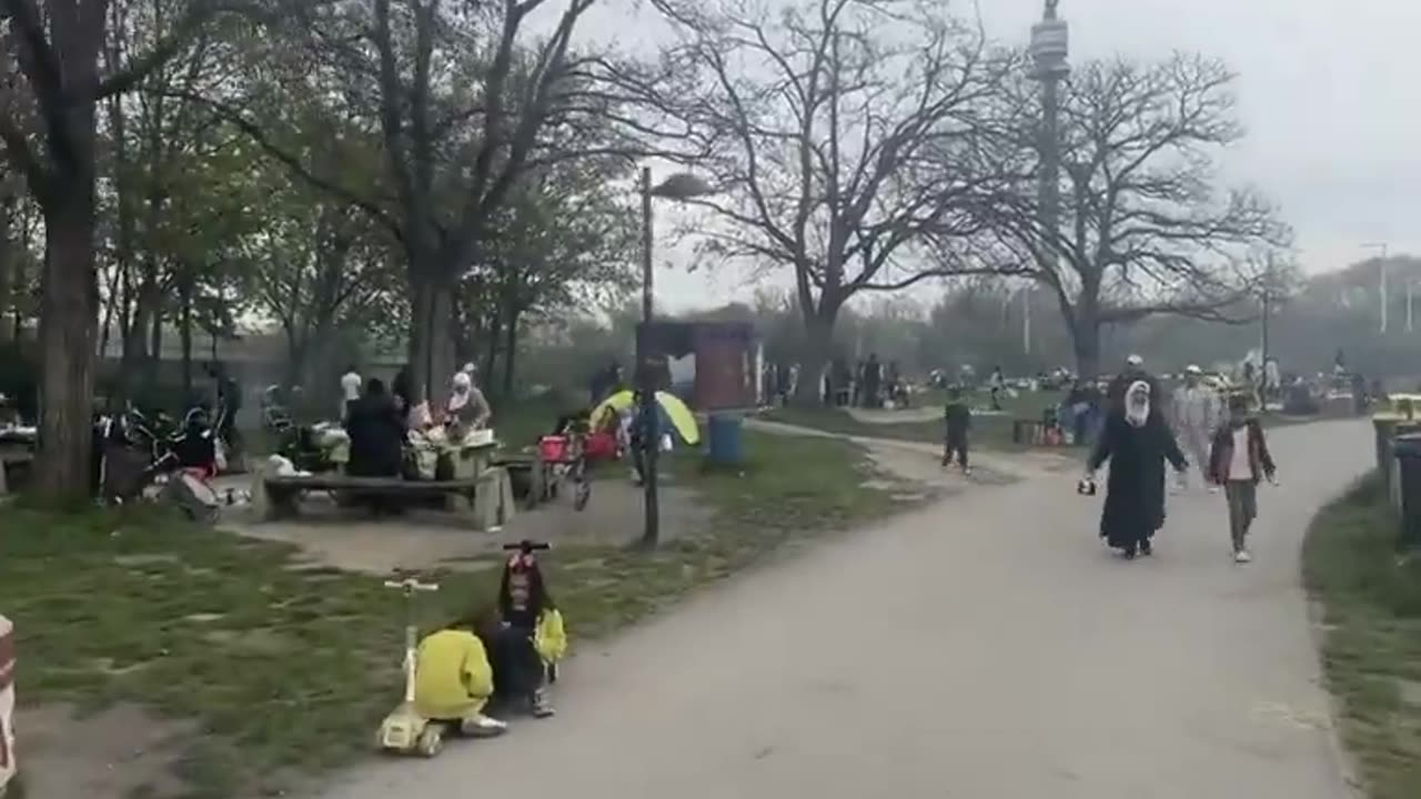 There are no Austrians or Europeans in parks in Vienna.
