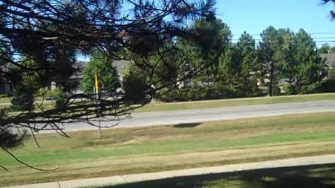 THE SHEA SHOW TAKING A DAY OFF,, COME HANG OUT